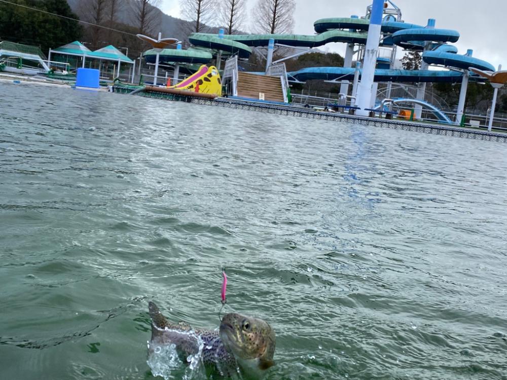 亀岡市　釣れ釣れプールトラウト