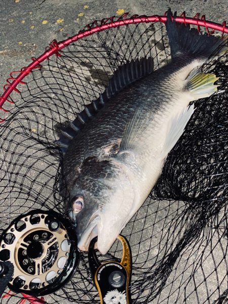 ヘチってきました