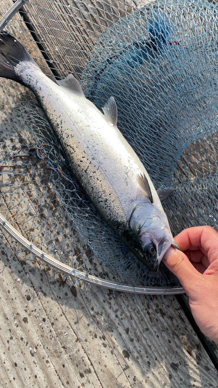 久々の釣堀水宝