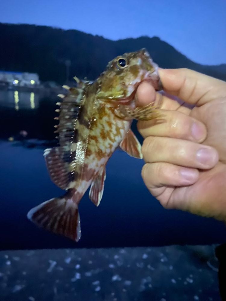 ガシリング① 北京都釣行