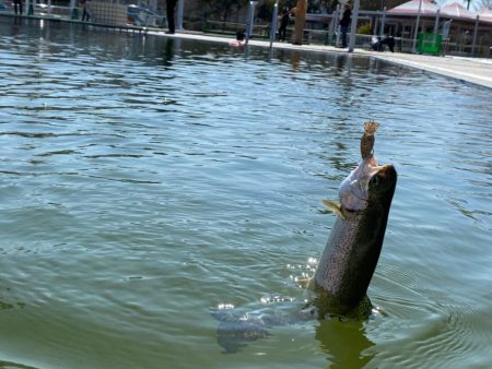 亀岡　かめプー　かめぷー