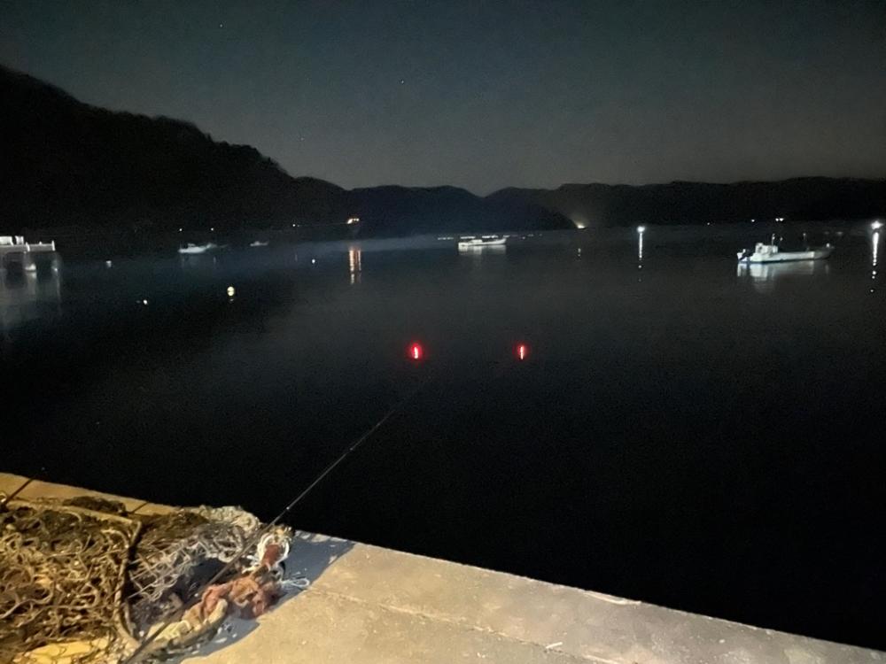 ヤリイカテーラー