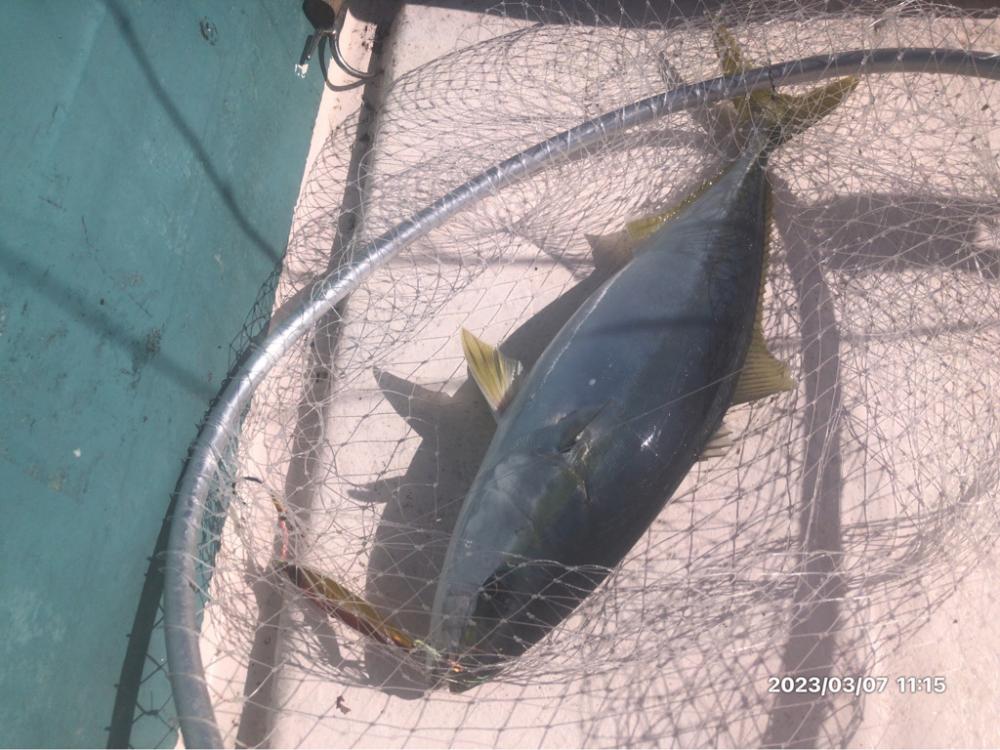 3/7 伊島沖ジギング&タイラバ