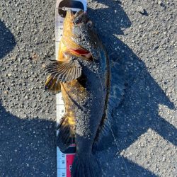 春のタケノコ祭り