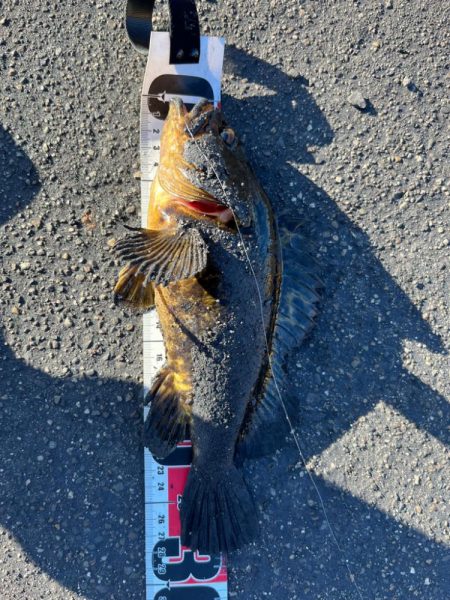 春のタケノコ祭り