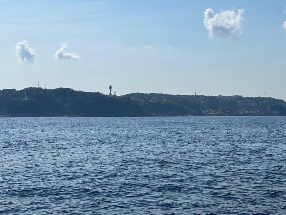 小潮、トラフグ