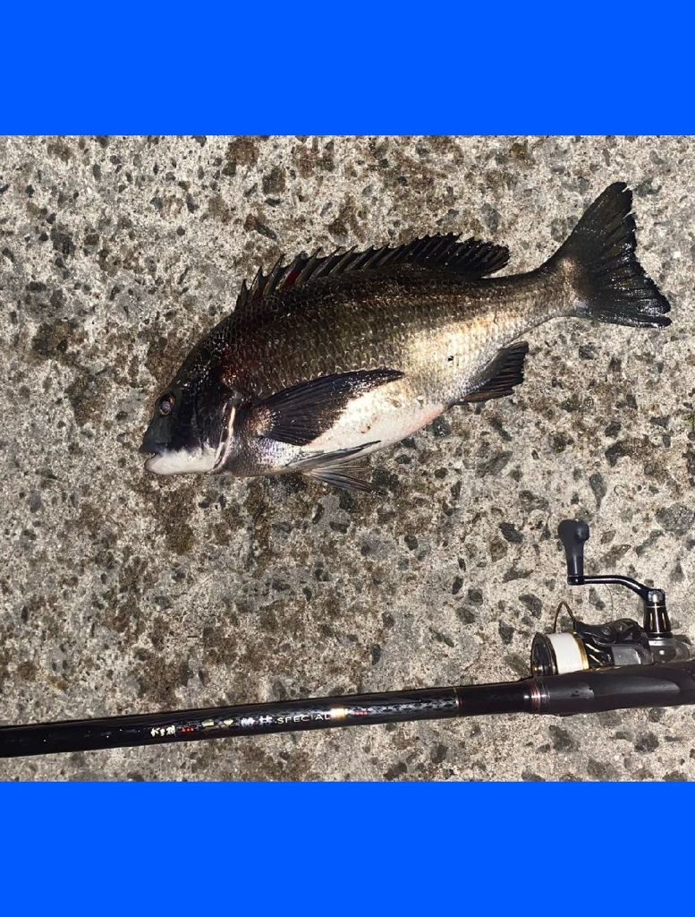 釣り日和の良い天気