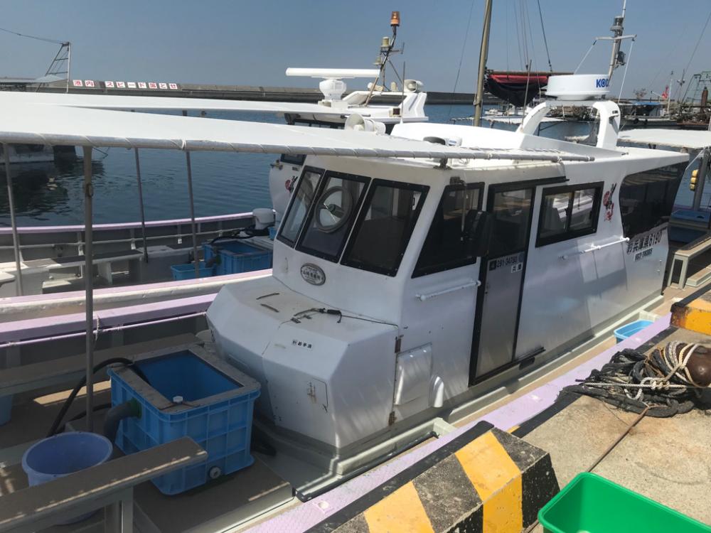 産卵モード?室津カットウフグ