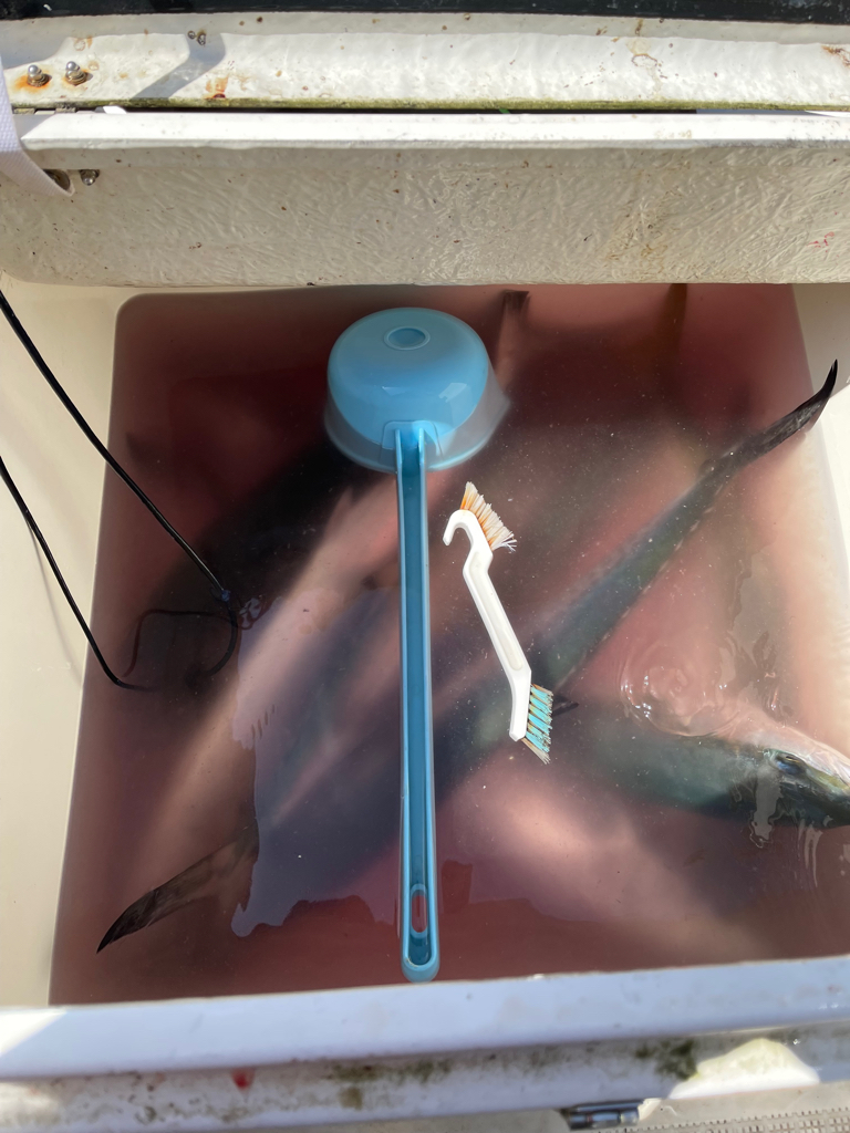 大鳥山、爆釣果