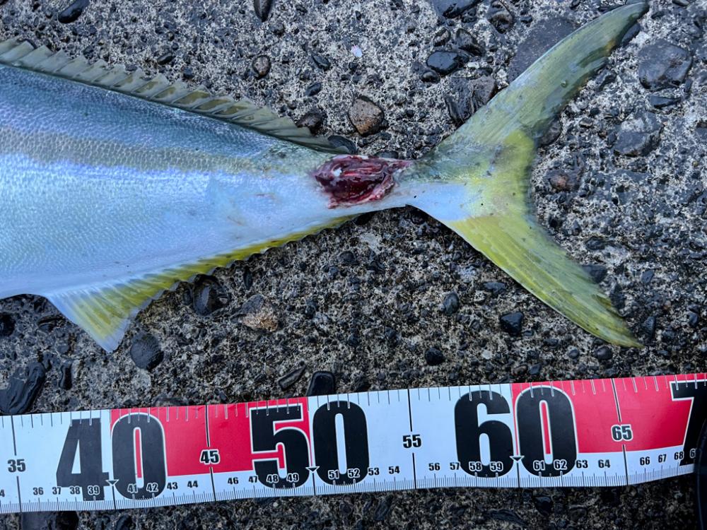 万次郎でビッグスプラッシュ!