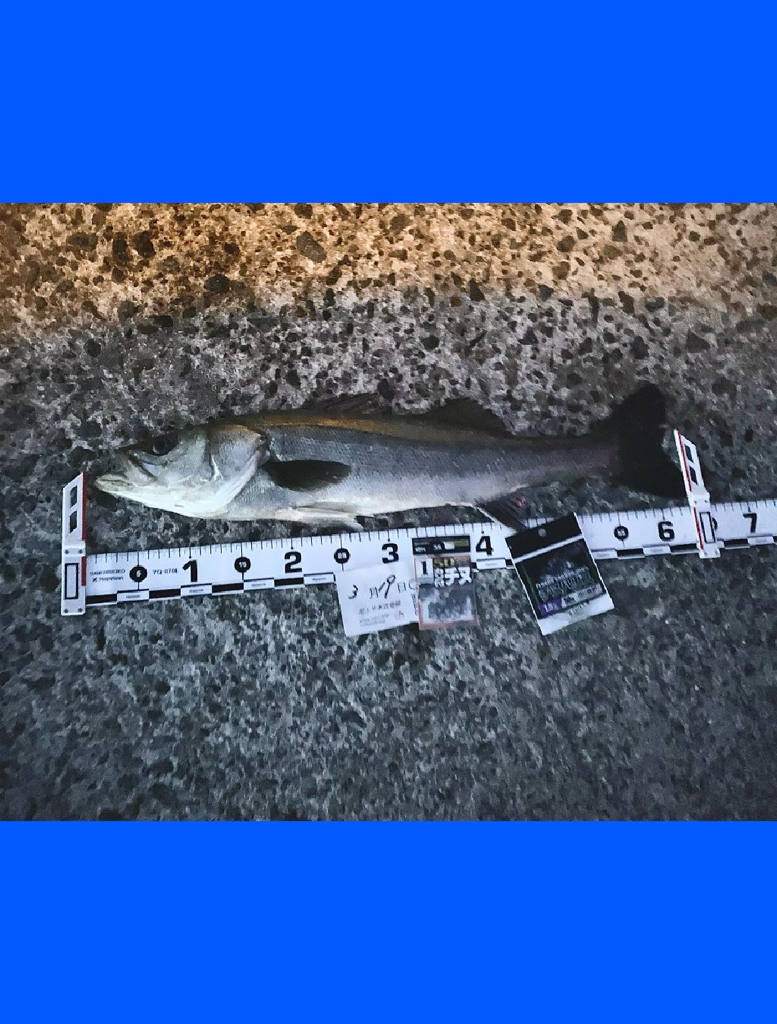 先日の雨の影響は