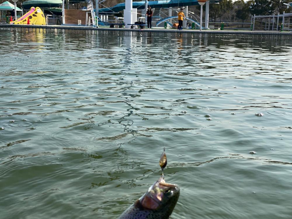 放流日だよ全員集合。かめプー釣れ釣れ