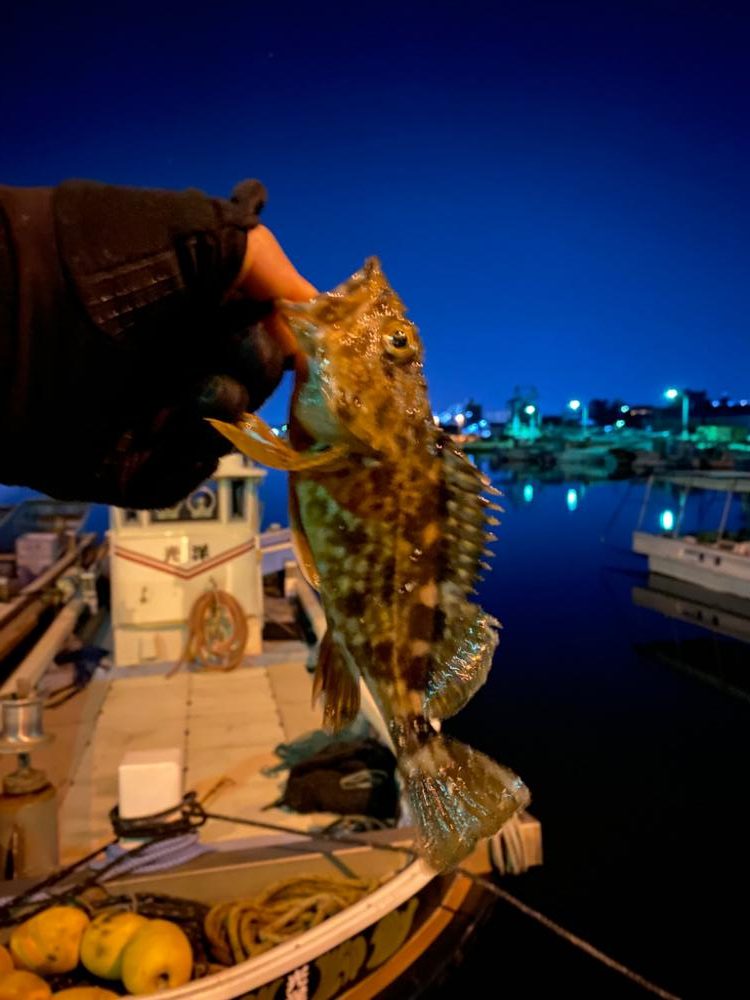 メバリングのつもりが