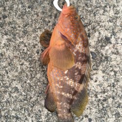 釣り博の余韻に浸りながら釣りに!!