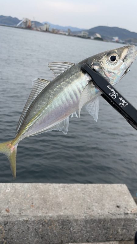 デイアジング♪