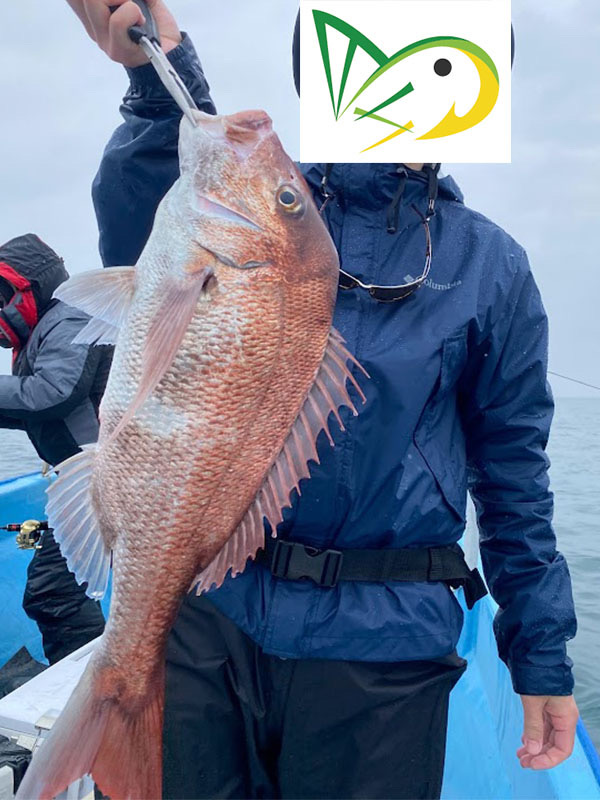 3月26日(日)タイラバ、ライトジギングの釣果