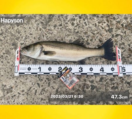 連続のアタリに良い魚の活性