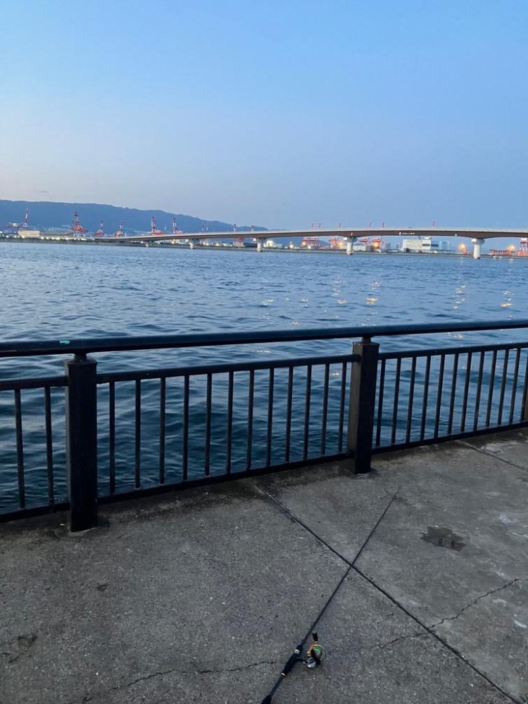 メバル狙い…？