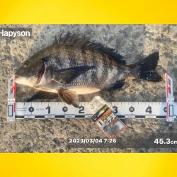 スパッと消えるウキ