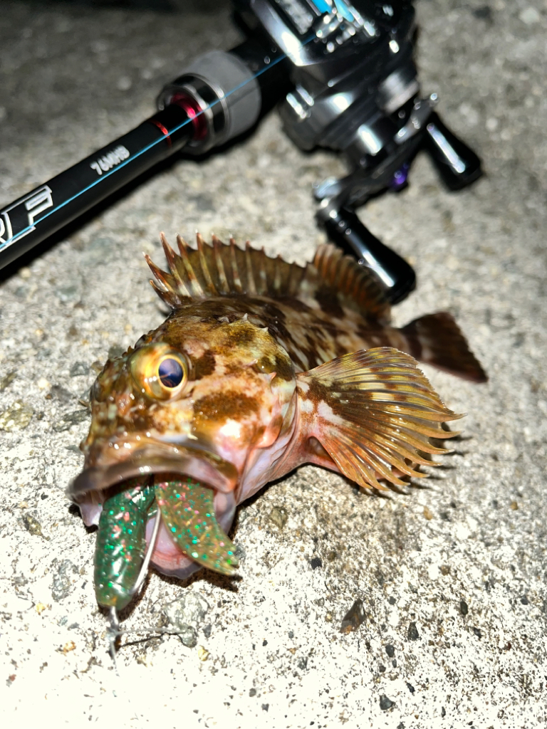 ロックフィッシュ