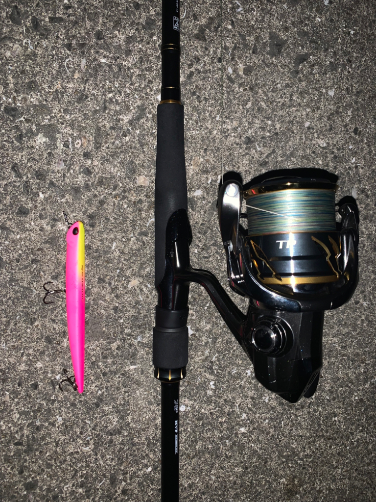 ボラーフィッシング