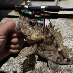 寒いのでワンドで五目