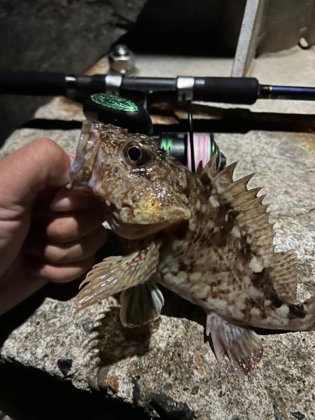 寒いのでワンドで五目