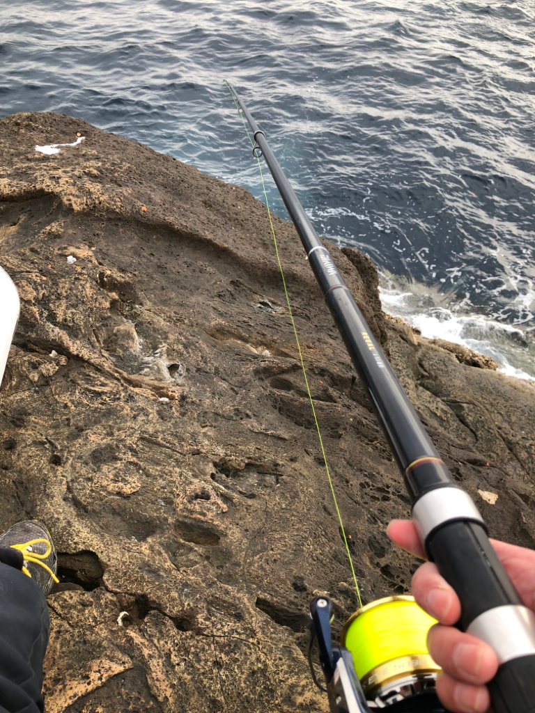 今年は水温が高いです