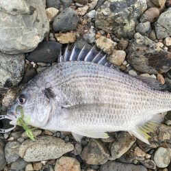 淀川ブリームゲーム　2023開幕