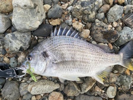 淀川ブリームゲーム　2023開幕