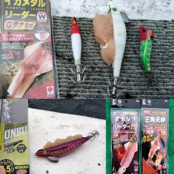 冬旬ヤリイカ釣り！（越前岬沖）