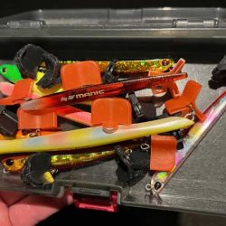 激渋メバリングとバチパターンシーバス撃沈！