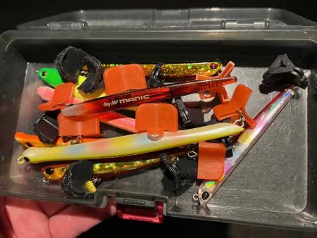 激渋メバリングとバチパターンシーバス撃沈！