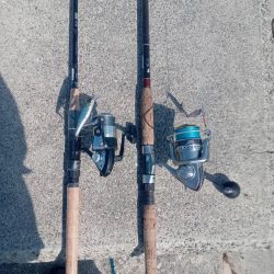 プチsalt water game