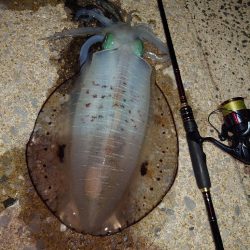 風＆ウネリエギングIN対馬