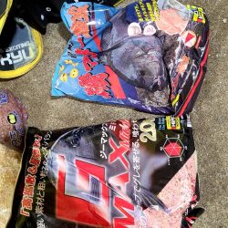 和歌山市江（吉丸渡船）で磯フカセ