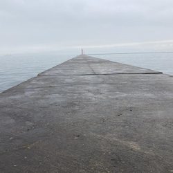 またもや一枚のみ