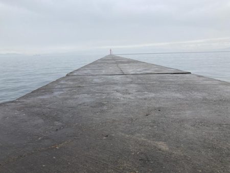 またもや一枚のみ