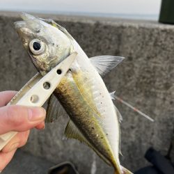 久しぶりの山陰遠征