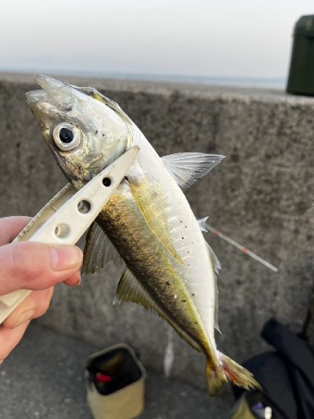 久しぶりの山陰遠征