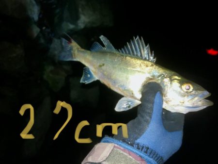 シラスパターン