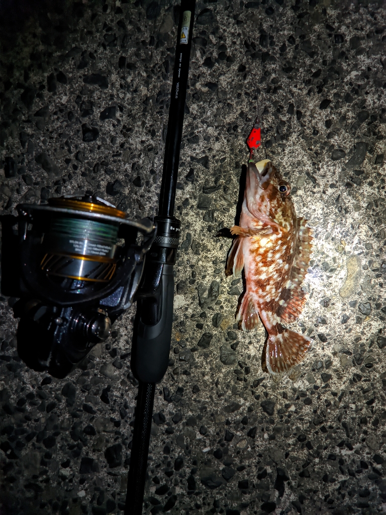 友達との釣りオール後半