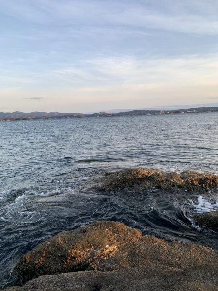 エギング最高！