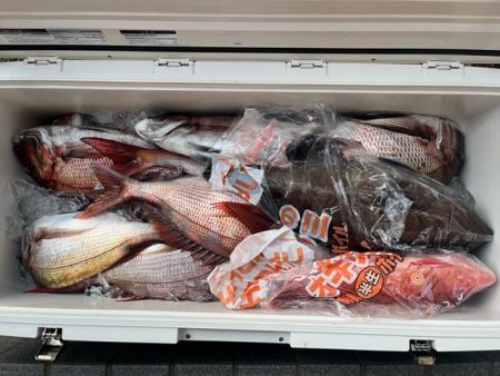 ノッコミ真鯛を狙って遠征してきました