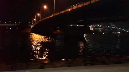 西宮周辺 シーバス