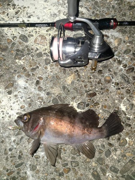 メバリングです