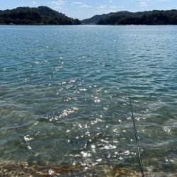 DAIWA　銀狼カップ天草大会に参加しました