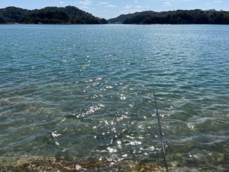 DAIWA　銀狼カップ天草大会に参加しました