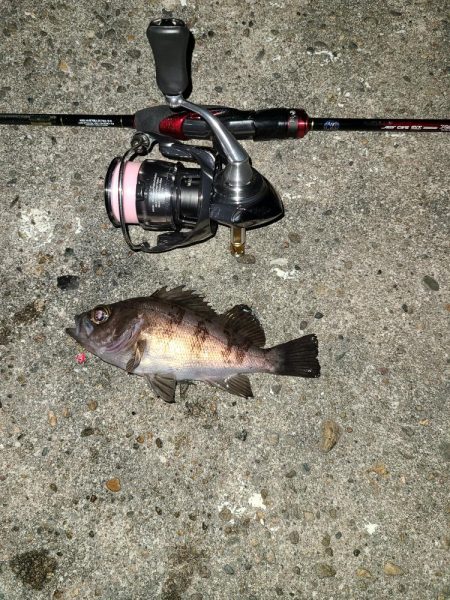 メバリングです