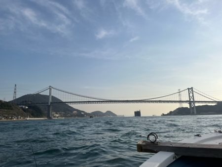 関門海峡でイカ・アラカブのリレー便に乗ってきました